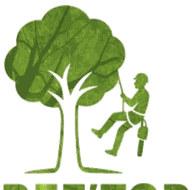 Tree'Top — arboriste grimpeur